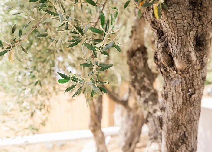 Topos Appartement Lassi (Kefalonia)