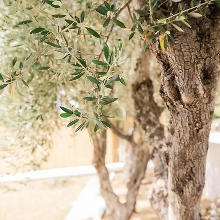 Topos Daire Lassi (Kefalonia)